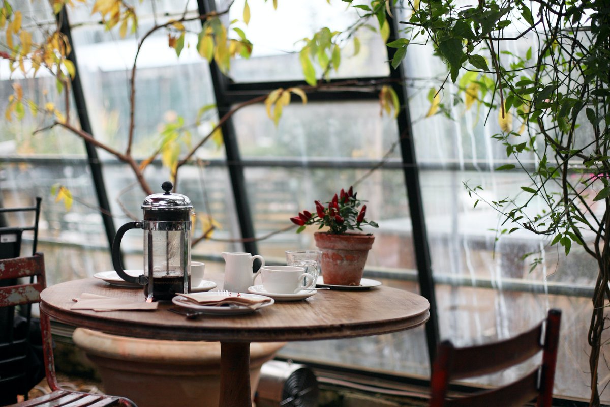 MalaikaWalsh's tweet photo. Exciting news upcoming! Stay tuned for more information. #BoldBranchCafe #Pod1 #ABTatUFV

photo creds: Kris Atomic @ Unsplash https://t.co/Stxd7mBlEm