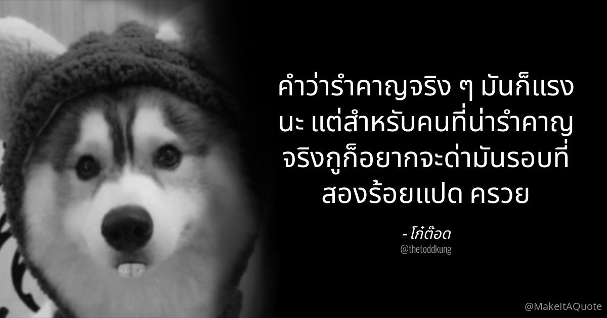 นายชิบะ 我们 tweet media