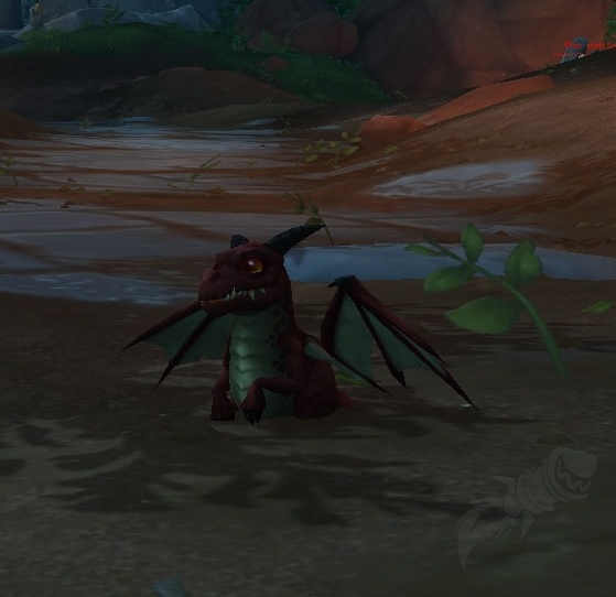 Wowhead's tweet image. The Ruby Whelp Shell trinket can provide massive damage or give a high amount of stats, but you have to train your Ruby Whelp for 7 days!

#Dragonflight #Warcraft 

wowhead.com/news/how-to-tr…