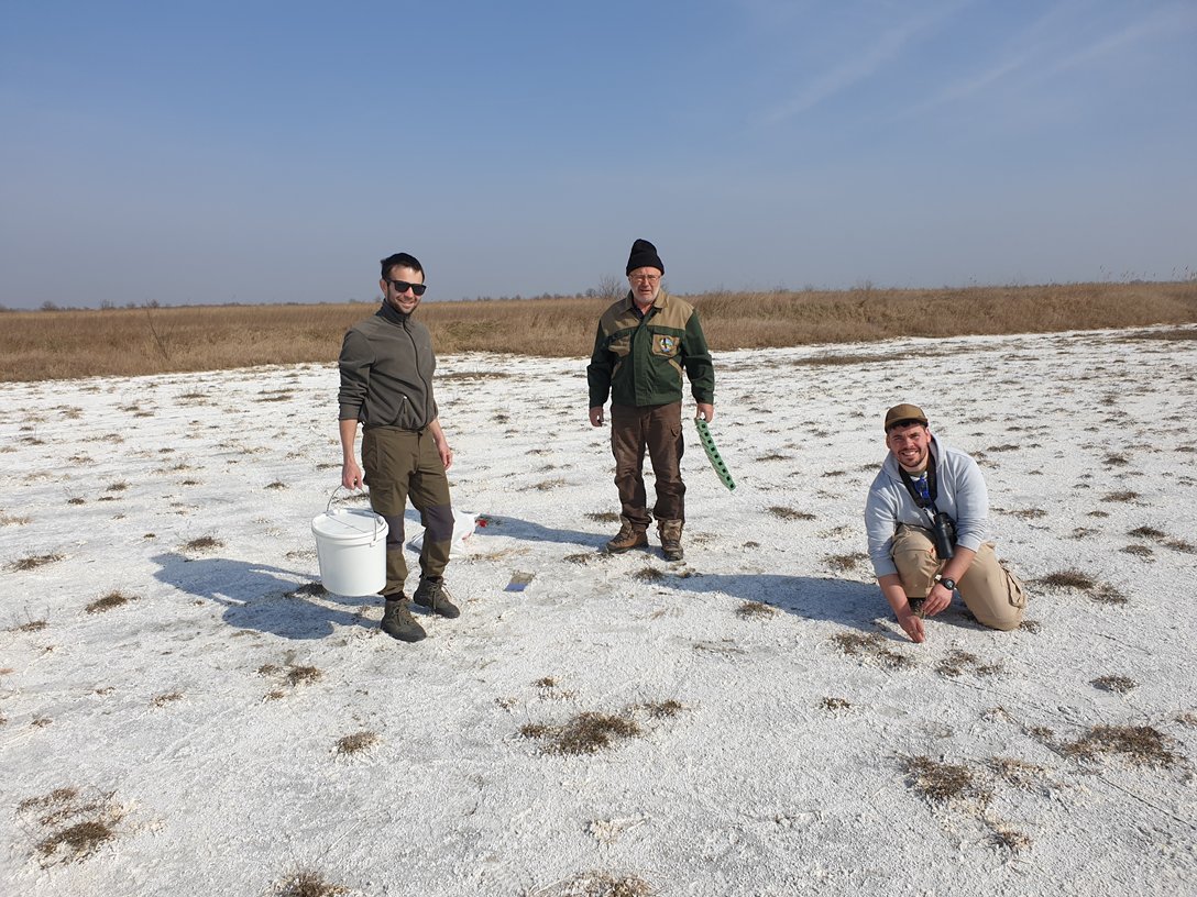 LIFEforBUGSand1's tweet photo. Nyár végére lezajlott az ízeltlábú fajok és közösségek felmérése Miklapusztán.  Továbbá elvégeztük a pusztai gyalogcincér állományának első felmérését is, így több ismeretet szereztünk e veszélyeztetett faj elterjedéséről és aktivitásáról. https://t.co/3xGu9CNvEb