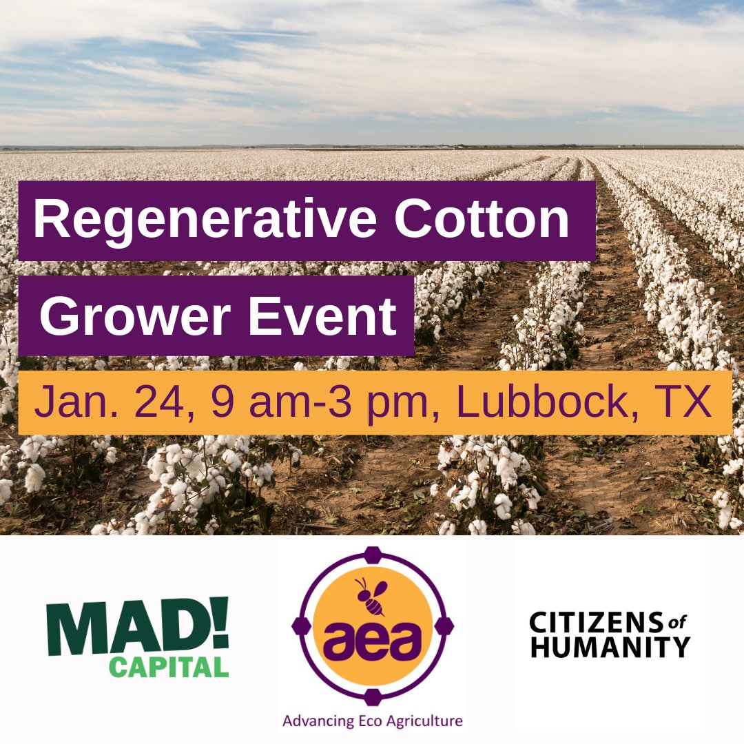 AEA (@advancingecoag) on Twitter photo We are hosting the Regenerative Future of Cotton Growers event with our allies in regen ag, Citizens of Humanity and <a href="/_MadAgriculture/">Mad Agriculture</a>. Looking forward to seeing you in Lubbock, TX on Jan. 24! Register today: hubs.li/Q01xpmSY0
#regenag #regencotton #regenerativeagriculture We are hosting the Regenerative Future of Cotton Growers event with our allies in regen ag, Citizens of Humanity and <a href="/_MadAgriculture/">Mad Agriculture</a>. Looking forward to seeing you in Lubbock, TX on Jan. 24! Register today: hubs.li/Q01xpmSY0
#regenag #regencotton #regenerativeagriculture