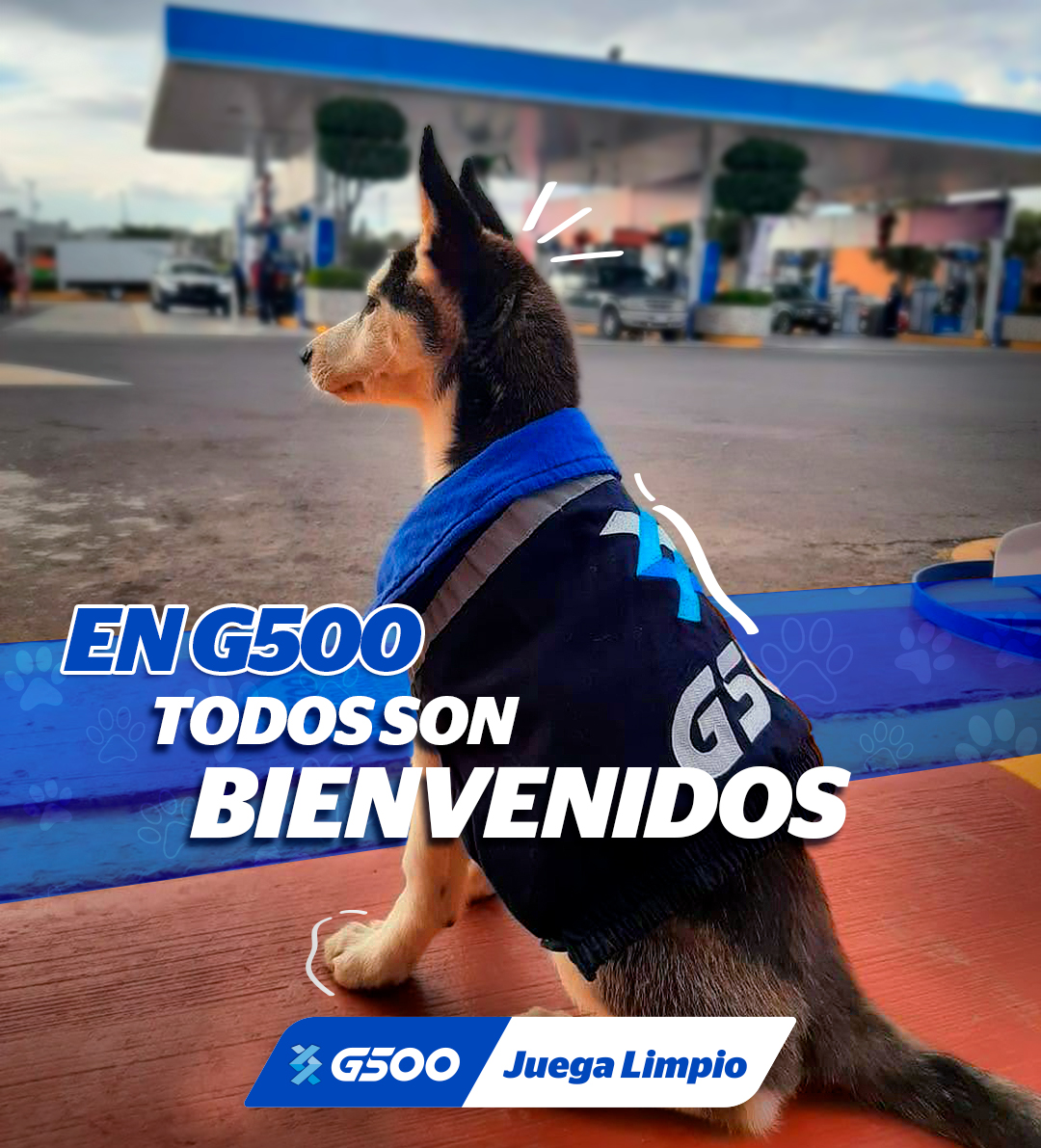 G500Mx's tweet photo. 🐕 Comparte esta publicación si te encanta ver perritos recibirte en nuestras estaciones #JuegaLimpio #CargaEnG500 #MascotasG500 🐶 https://t.co/orjhJsOyVn