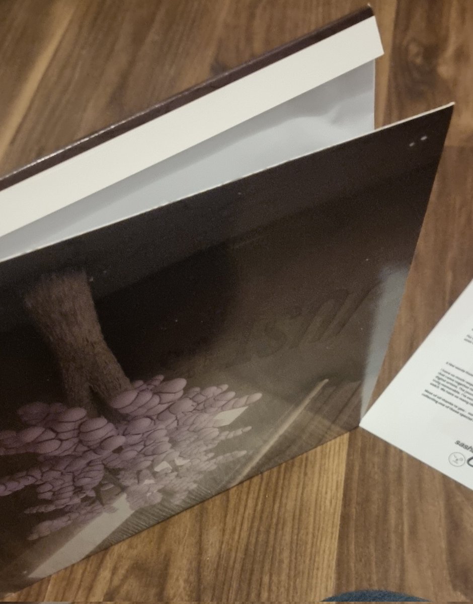 Joey Van Doran tweet media