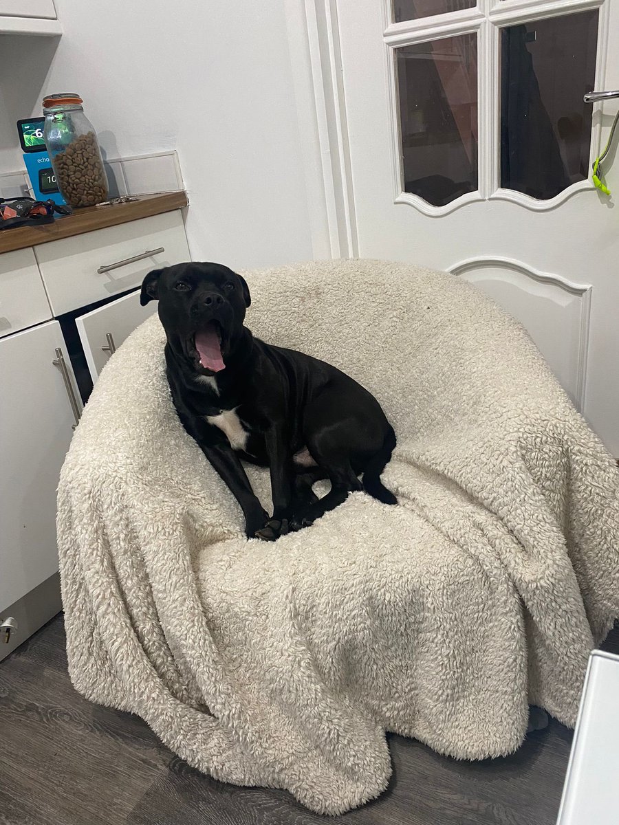 Baby Frank & his teddy, Edward 🧸🏴 tweet media