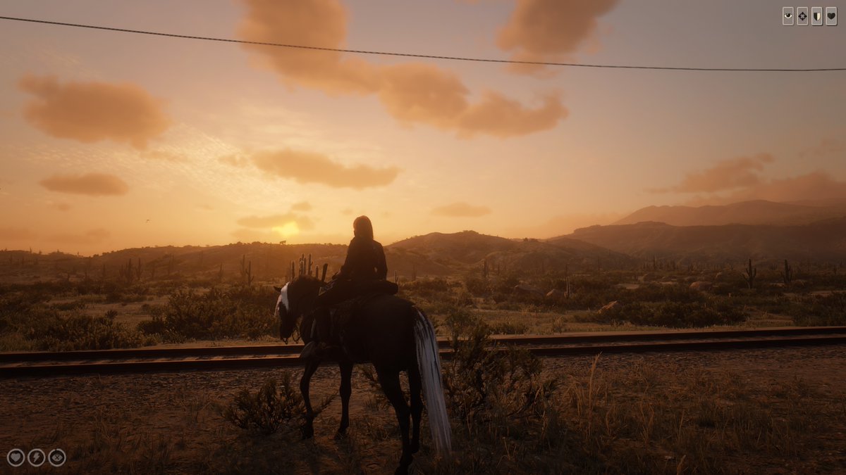 #PS5Share, #RedDeadRedemption2 #reddeadonline #virtualphotography