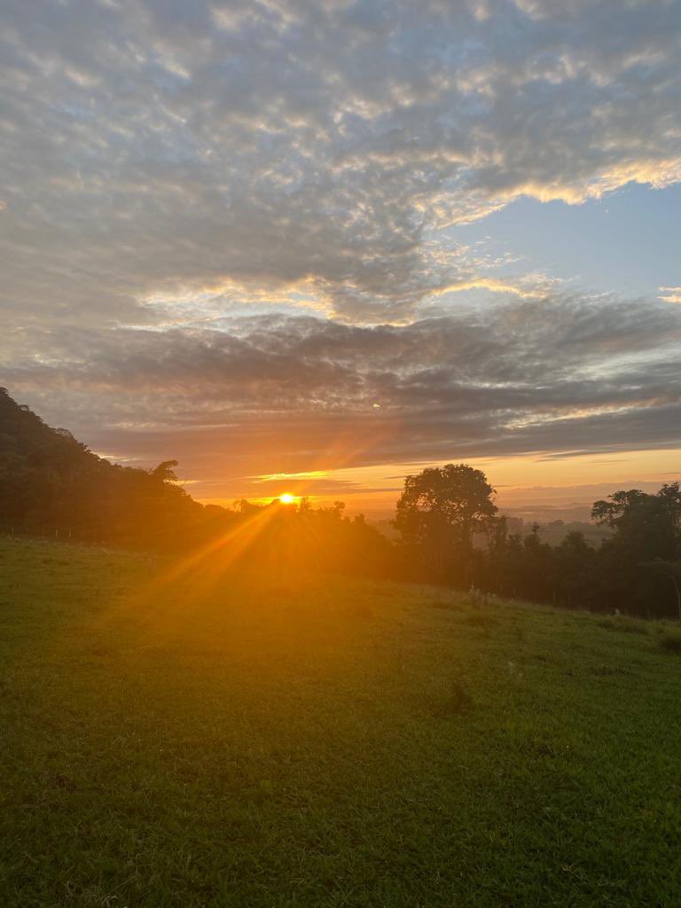 cantordaniel's tweet photo. #tbt de um nascer do sol especial! Esse foi um registro do dia 31/12/2022. 💛☀️ #TBTDaniel #ProduçãoDaniel https://t.co/AXDRDngO6Z