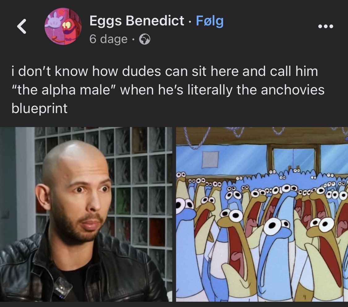 <a href="/insultsrare/">Nature Is Amazing 🏝️</a>