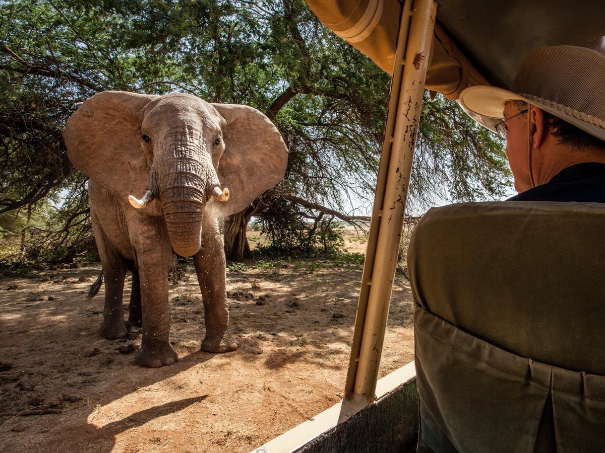 Set above the Uaso Nyiro River &amp; overlooking the Samburu plains towards Mount Kenya, SaSaab Camp is a Moroccan-inspired tented camp situated in Kenya's Samburu National Reserve, a conservation area well-known for its mix of classic savannah animals.
