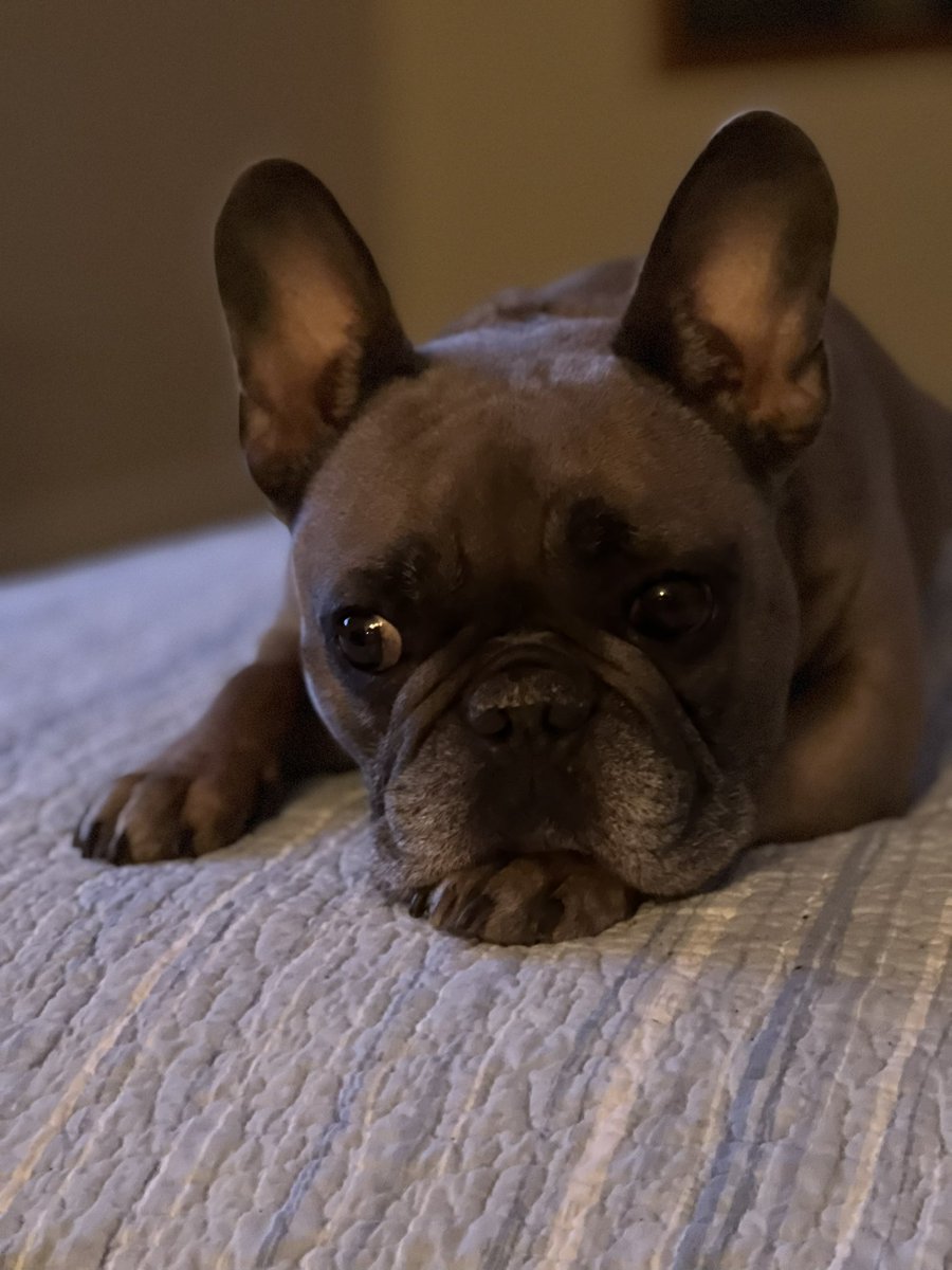 Acroz80's tweet photo. He is thinking about our gas stove. https://t.co/QKpFkj9eGR