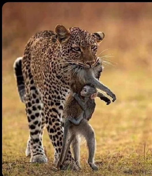 Very sad photo https://t.co/Xt1oKkkqq2<a href="/tag/queenelizabeth"class="tags"><span>#queenelizabeth</span></a>