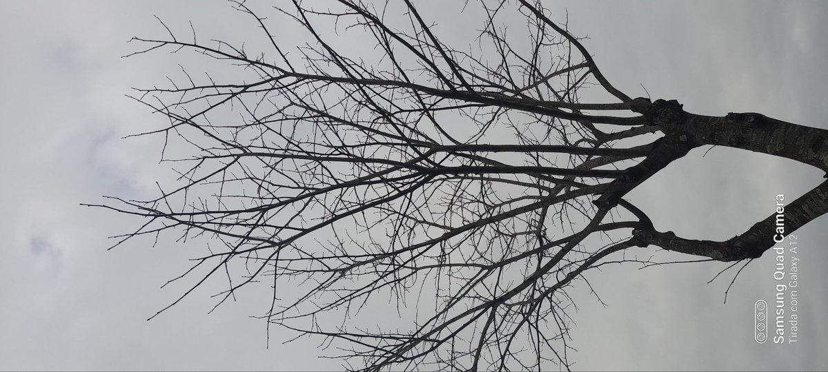 Sandra Torres xanacctorres (@xanacctorres) on Twitter photo 