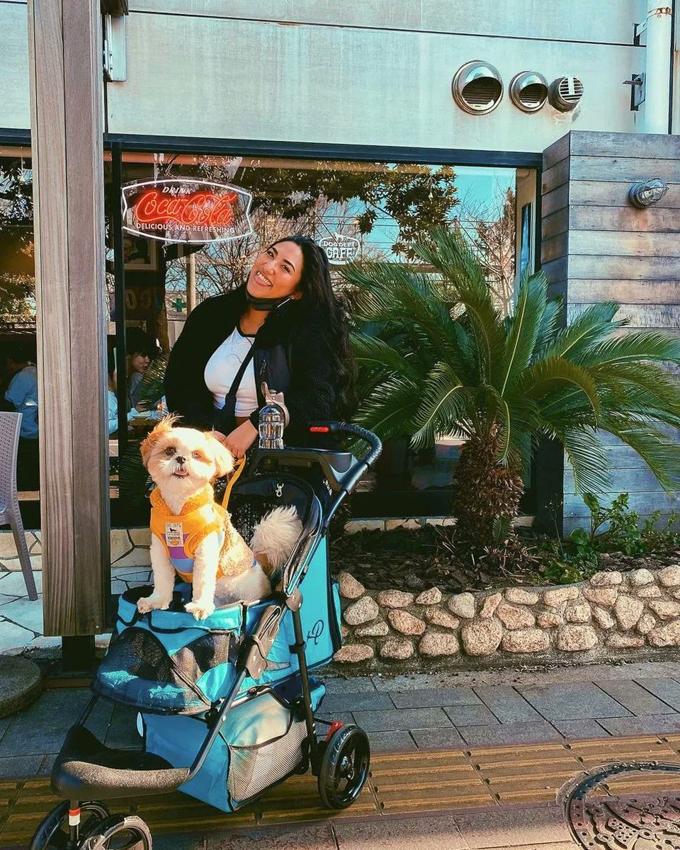 petiquepets's tweet image. Tongue&apos;s out Tuesday😋 How are you spending your day?😜

The Durable Pet Stroller was designed to be smooth, sturdy, and comfy just for your furbaby😘 

#tongueoutthursday #adventuredogsofinstagram #adventuredogs #adventuredog #adventuredogsorg #fallvibes #fall #fallcolours #fyp