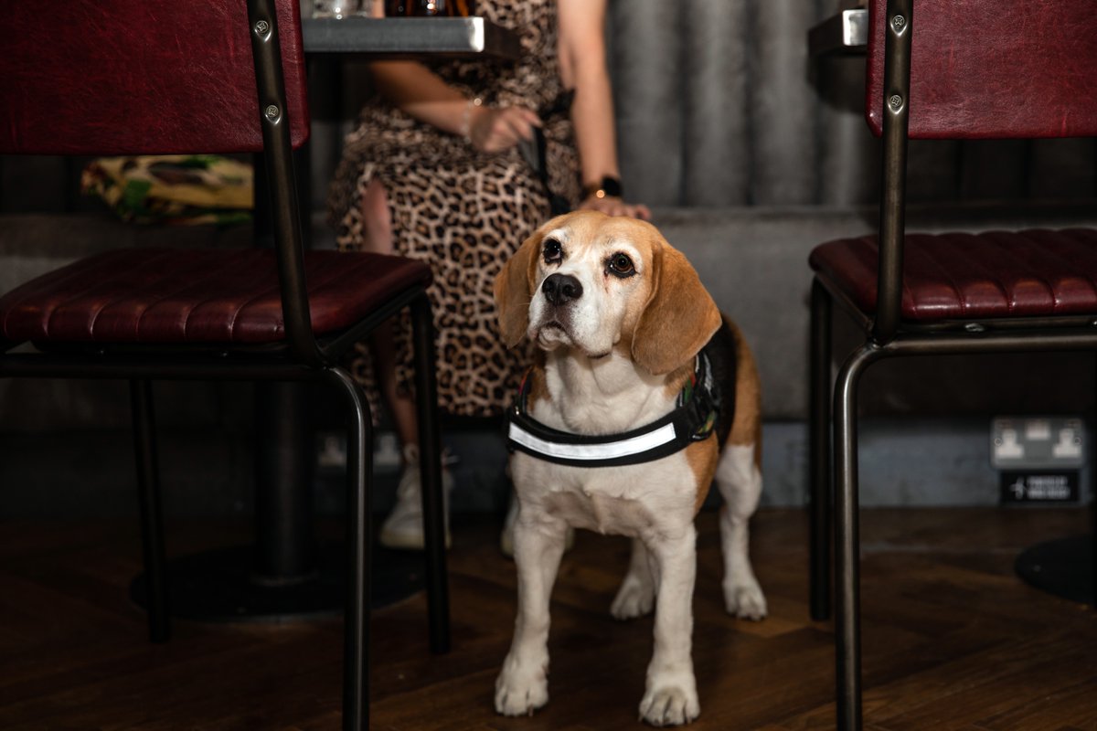 Don’t forget to bring your doggy pals in to see us… we’ve even got a brew they can have!

Yep, you heard us right… non-alcoholic doggy beer 😍🍻