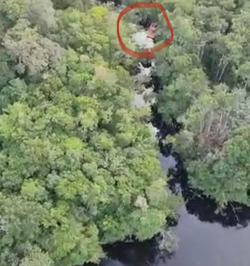 dhernandezlarez's tweet image. Está prohibida todo tipo de explotación minera en los Parques Nacionales y Reservas Forestales, por ser áreas protegidas por el Estado. Las localizadas en estos sectores serán desmanteladas por infringir la soberanía y las leyes de la República. 
#CEOFANB