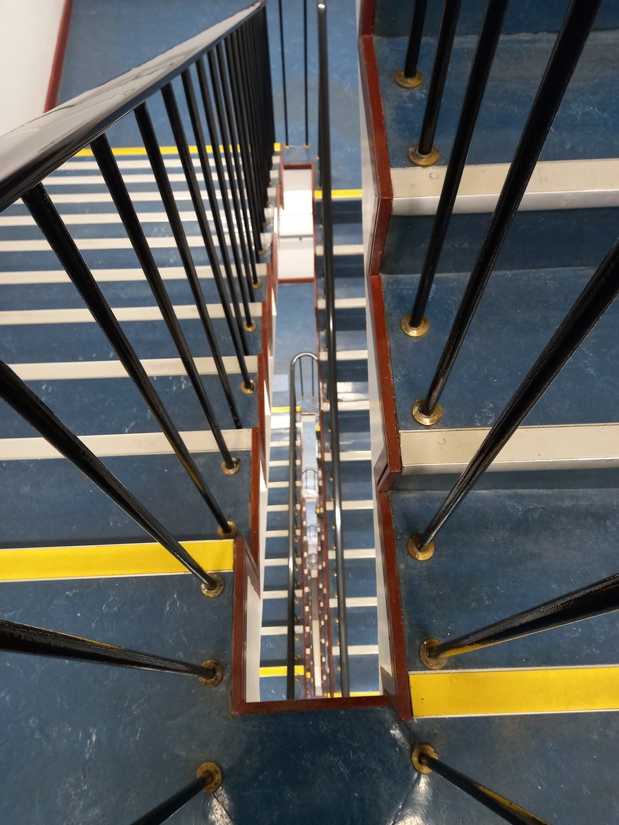 That wind would blow the head off ya 🌬🌪 Daisy managed to stay on her paws 🐾  A stunning rainbow 🌈  on the way to visit Dad <a href="/svuh/">St Vincent's University Hospital (SVUH)</a>  and 4 flights of steps done there twice today ! @100daysofwalking <a href="/NewstalkFM/">NewstalkFM</a> <a href="/NTBreakfast/">Newstalk Breakfast</a>