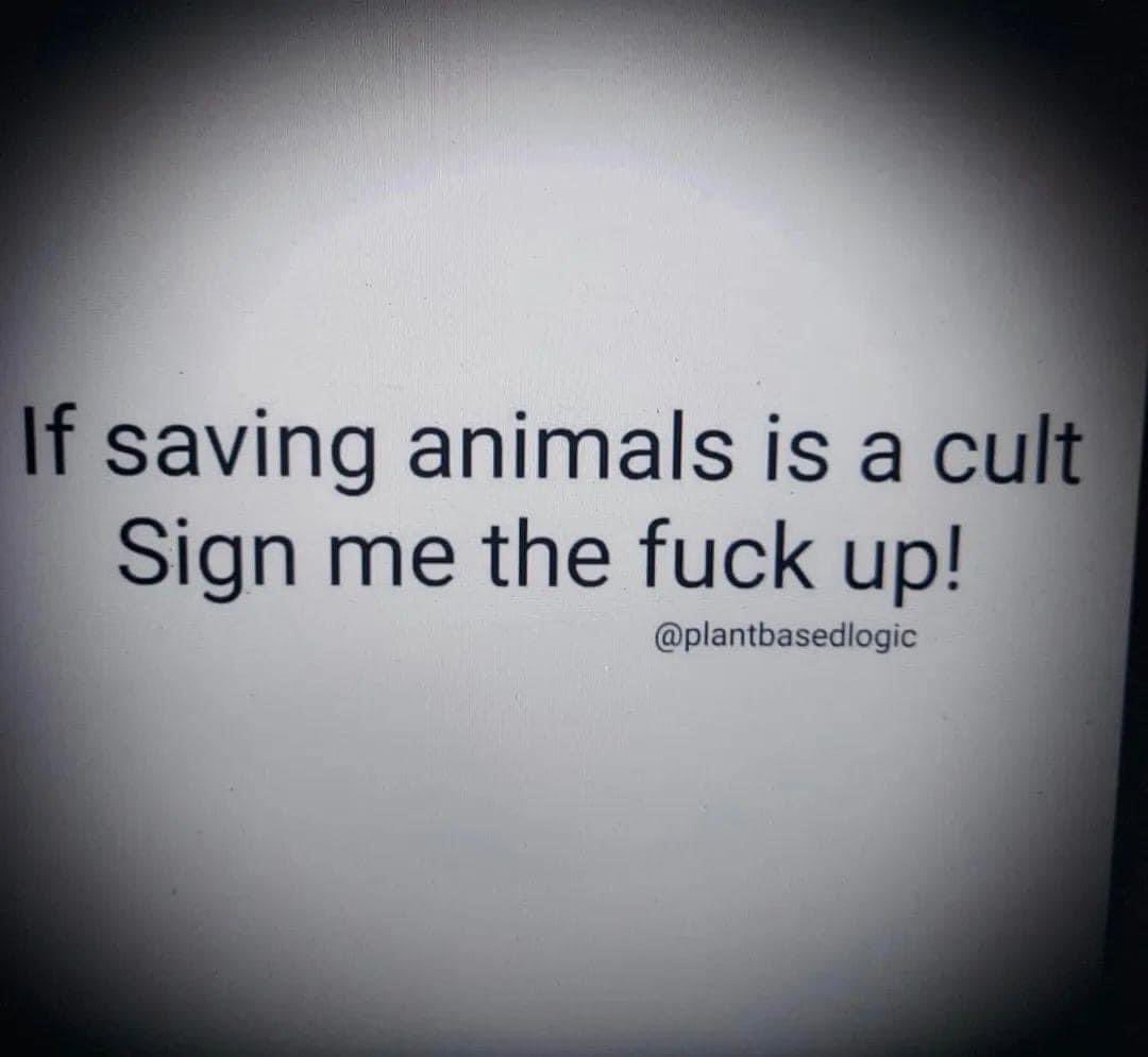 🤩💚#AntiSpeciesism #AnimalLiberation #Veganism