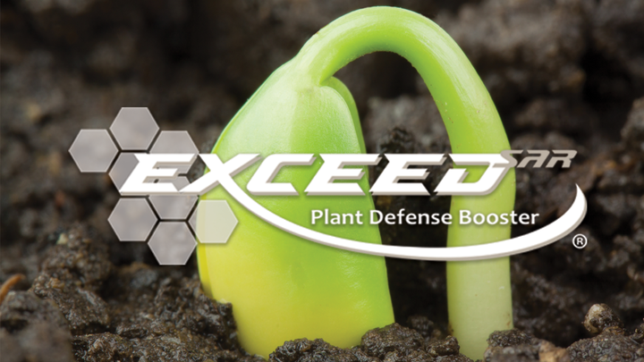 Visjon Biologics tweet media