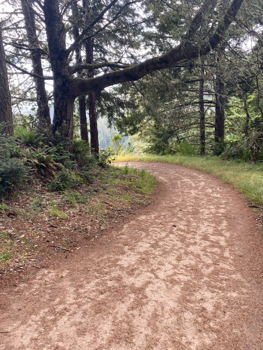 RunForeverTF's tweet image. This kind of trail slaps in almost any dry weather