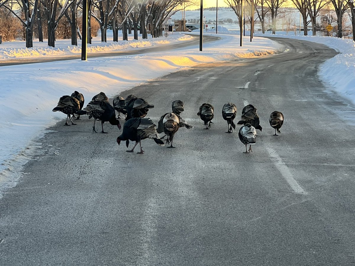Allow yourself a couple extra minutes to get to the airport, we’re currently experiencing traffic.