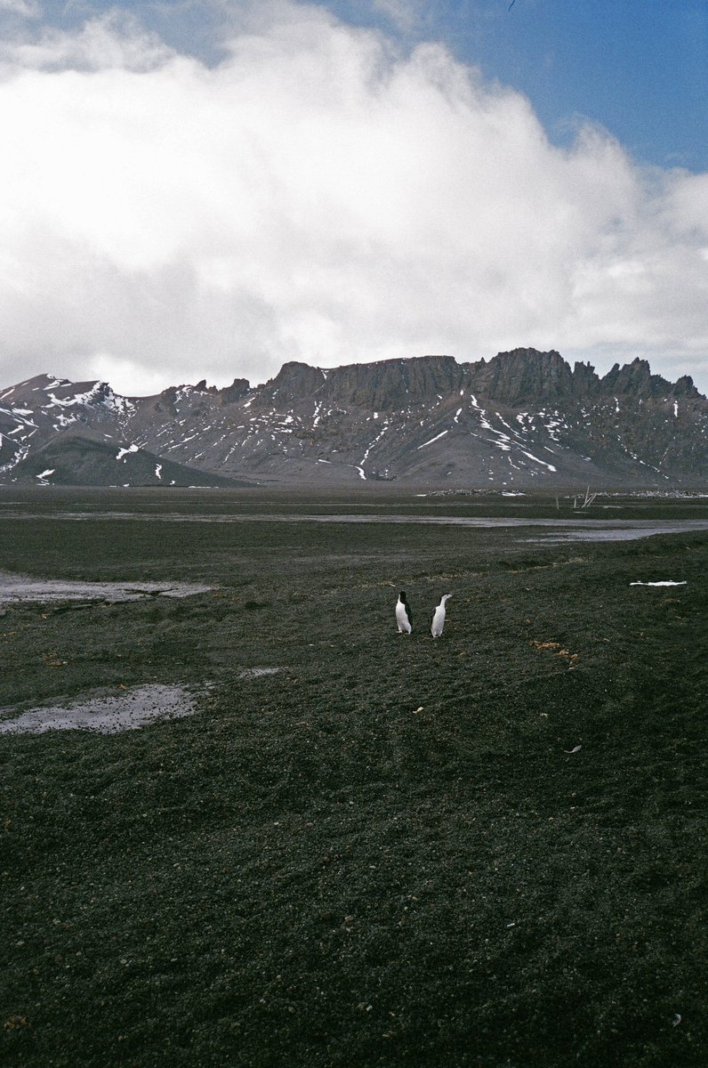 Antarctica on film
