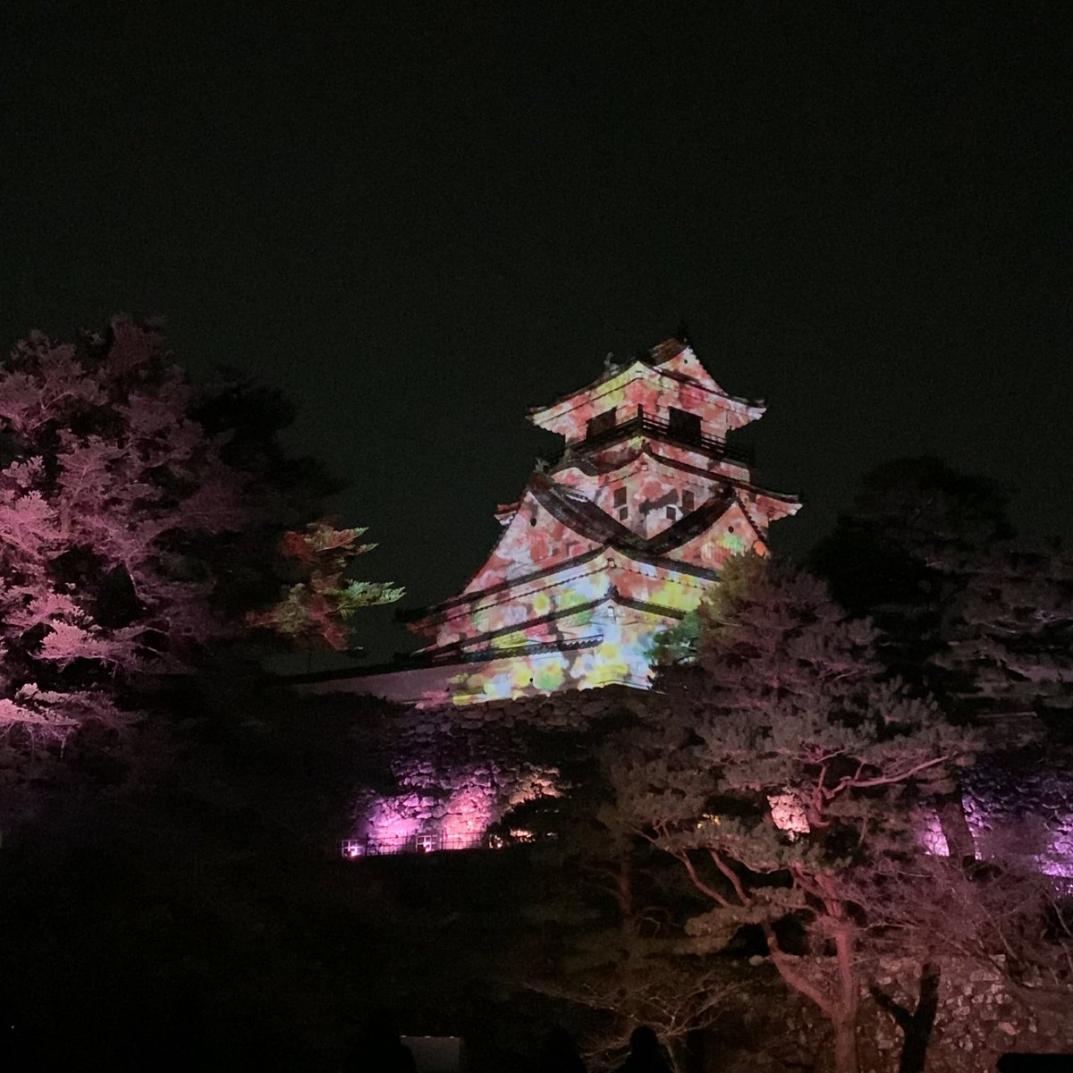 knt_dialysis's tweet photo. おはようございます☀️

先日 #高知城 へ研修に伺いました🏯
夜はプロジェクションマッピングが行われており、光と音とアートの融合がとても圧巻でした…！

ぜひお近くの方は週末のおでかけのご参考に🌼

#おはようございます #きんようび 
#高知 #ひかりの花図鑑 #四国観光 https://t.co/FbnHbtze5J
