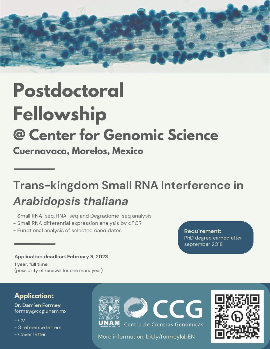 CCG UNAM on Twitter "📣 Dr. Formey's lab is seeking a candidate for a