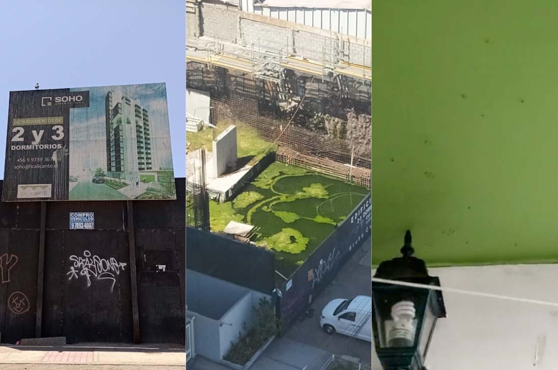 TLAntofagasta's tweet photo. #VIDEO | Vecinos de Antofagasta viven una pesadilla por plaga de zancudos producto de obra abandonada

Los vecinos emplazaron a las autoridades de salud y a la empresa responsable del edificio Soho a hacerse cargo del tema

https://t.co/Xtz9RBnlvK https://t.co/JeJIkV8C9r