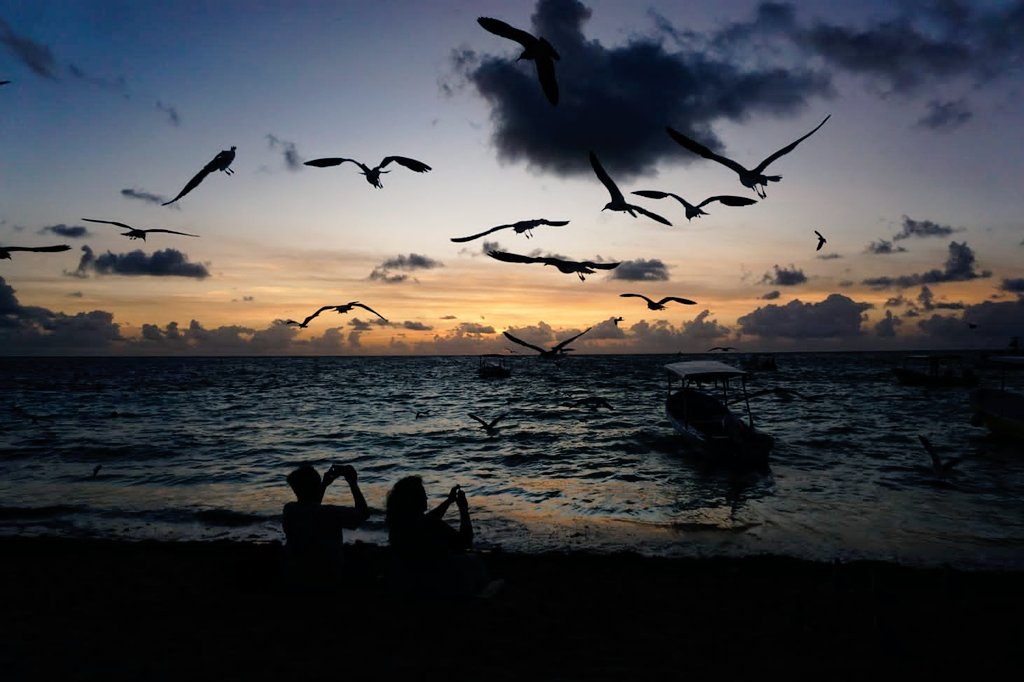 La belleza de #PuertoMorelos #QuintanaRoo #CaribeMex