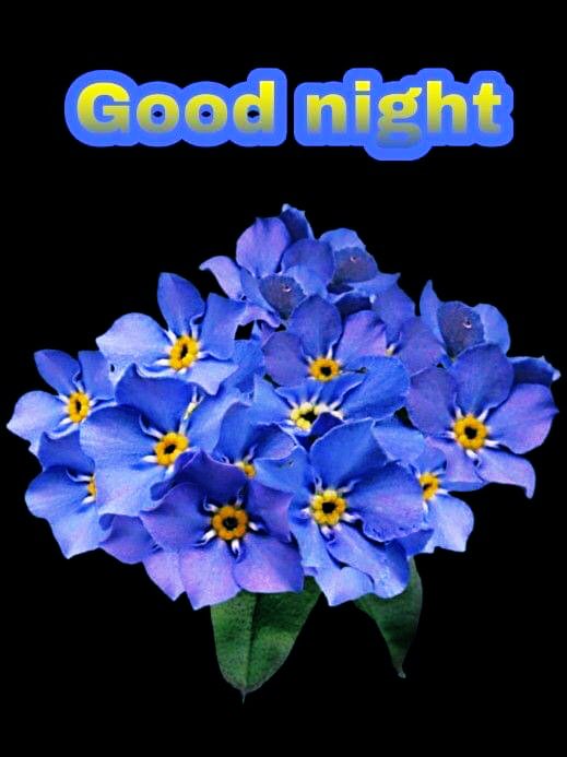 What another horrible day weather wise☔️🌫, the forecast is not much better. Still have a pleasant evening and a good night sleep tight 🌝🌕🌝🌕🌝🌕XX <a href="/KittyPopeEagle1/">Christine Welch</a>