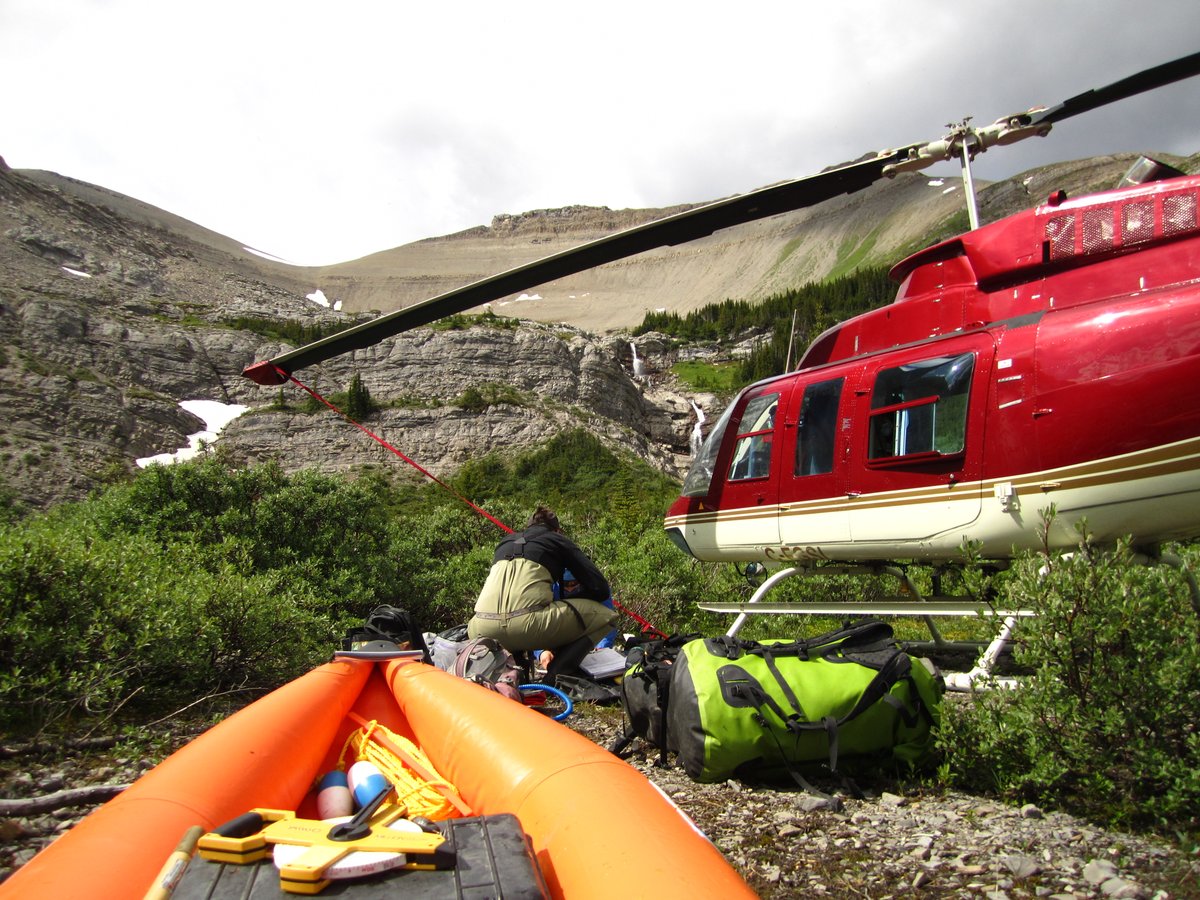 ABbiodiversity's tweet image. 🚨Want to be part of a province-wide biodiversity monitoring program?🚨
Spend the summer traveling Alberta's landscapes, contributing to our understanding of its natural world, and getting paid to do it?
Apply by Feb 27: ow.ly/uRZX50LYwx8
📷Chelsea McIsaac
#ABMIatWork