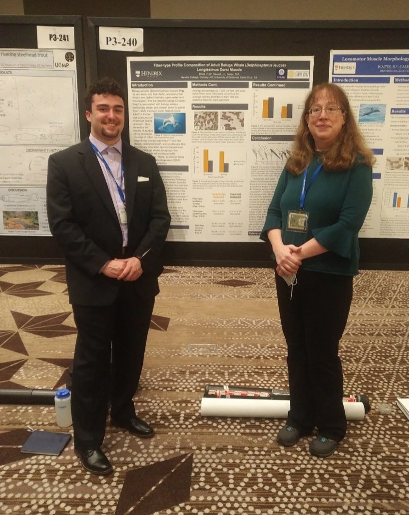HendrixBiology's tweet photo. Sharing Marine Mammal Science at SICB! Cooper Elliott (’23), a BCMB major and member of Dr. Jenn Dearolf’s Lab, presented a poster about his work on adult beluga whale locomotor muscles at the annual Society for Integrative and Comparative Biology (SICB) meeting in Austin, Texas. https://t.co/3T0vCYx48k