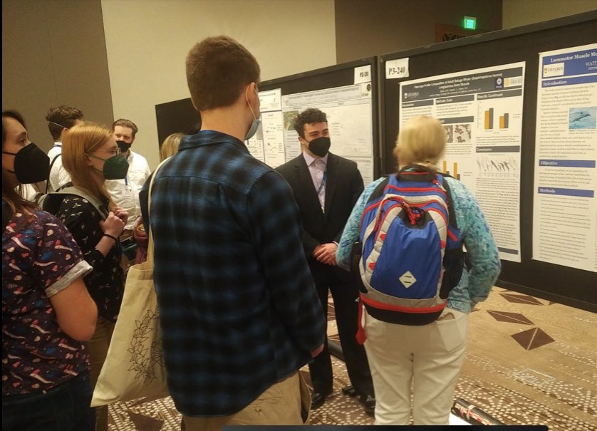 Sharing Marine Mammal Science at SICB! Cooper Elliott (’23), a BCMB major and member of Dr. Jenn Dearolf’s Lab, presented a poster about his work on adult beluga whale locomotor muscles at the annual Society for Integrative and Comparative Biology (SICB) meeting in Austin, Texas.