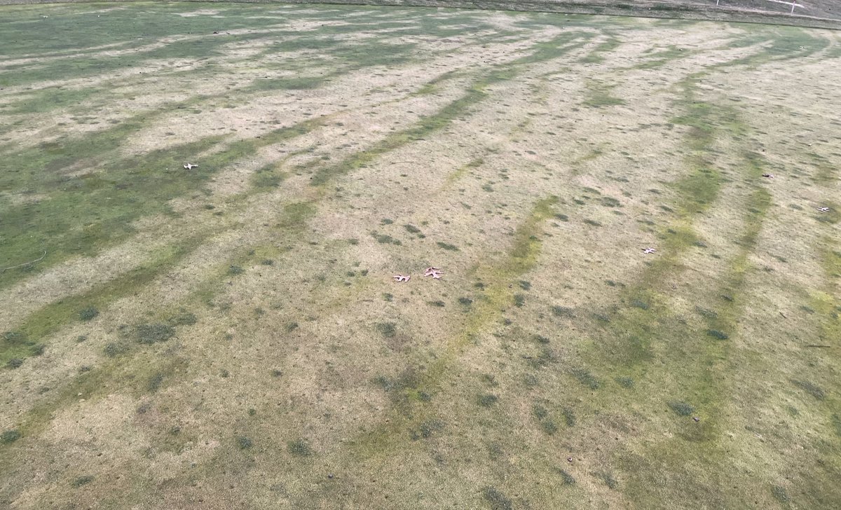 Ohio State ATI Turf tweet media