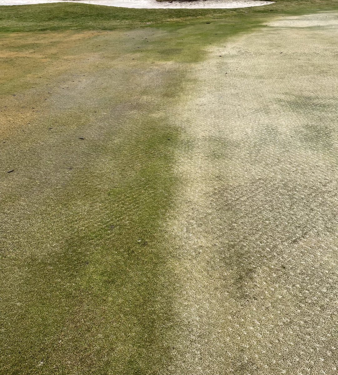 Ohio State ATI Turf tweet media