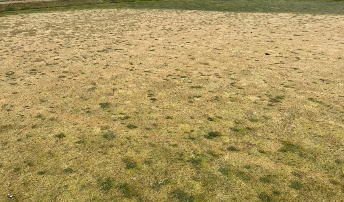 Ohio State ATI Turf tweet media