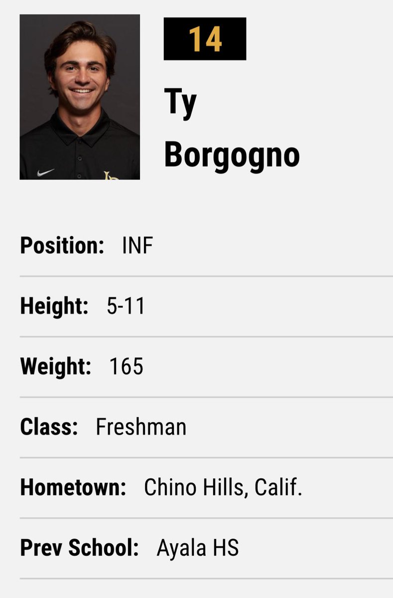 BorgognoBoys tweet media