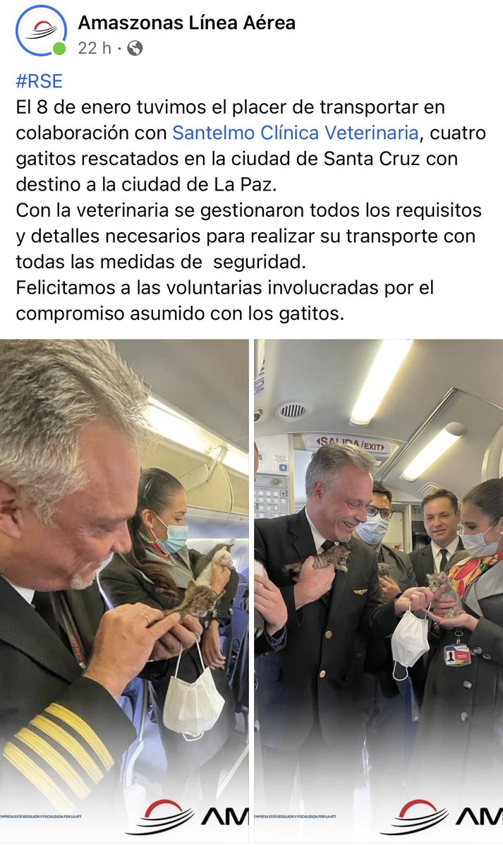 Amaszonas le hizo un Shakira a BOA por lo del gato Tito: