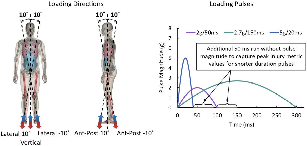 ABME (@abmejournal) on Twitter photo Read how <a href="/WakeBME/">Wake Forest Biomedical Engineering</a> & <a href="/NASA/">NASA</a> used human body modeling to simulate Moon landings and launches and predict astronaut injury risk for the upcoming Artemis missions! #spaceflight <a href="/MiteshLalwala/">Mitesh Lalwala</a> <a href="/karandevane/">Karan Devane</a> <a href="/jstitzel/">joel stitzel</a> <a href="/ScottGayzik/">Francis Scott Gayzik</a> <a href="/AshleyAWeaver/">Ashley A. Weaver, PhD</a> <a href="/BMESociety/">Biomedical Engineering Society</a>
Link rdcu.be/c3jFQ Read how <a href="/WakeBME/">Wake Forest Biomedical Engineering</a> & <a href="/NASA/">NASA</a> used human body modeling to simulate Moon landings and launches and predict astronaut injury risk for the upcoming Artemis missions! #spaceflight <a href="/MiteshLalwala/">Mitesh Lalwala</a> <a href="/karandevane/">Karan Devane</a> <a href="/jstitzel/">joel stitzel</a> <a href="/ScottGayzik/">Francis Scott Gayzik</a> <a href="/AshleyAWeaver/">Ashley A. Weaver, PhD</a> <a href="/BMESociety/">Biomedical Engineering Society</a>
Link rdcu.be/c3jFQ