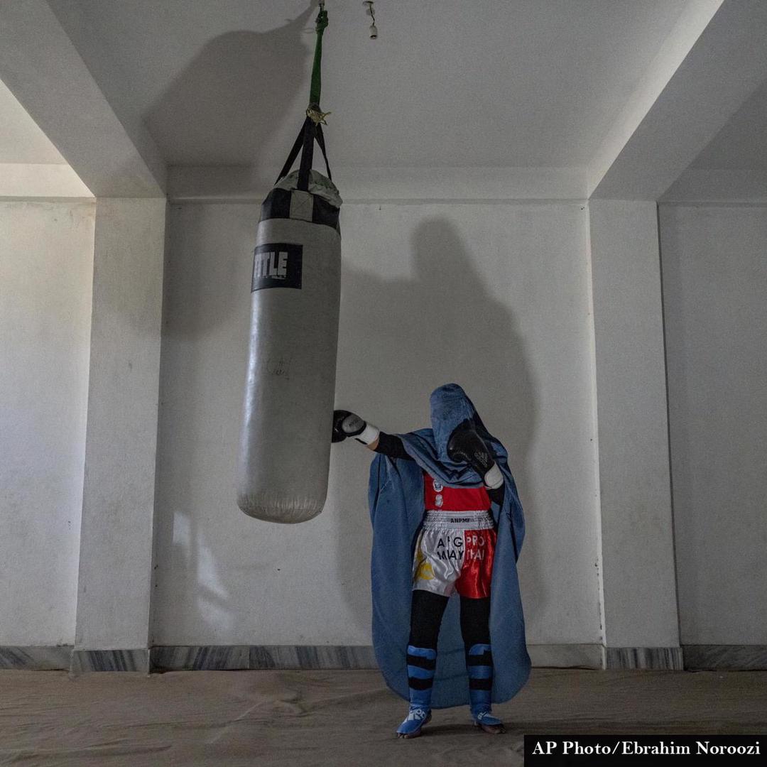 Dr. Halima Kazem حلیمه کاظم (@halimakazem) on Twitter photo 