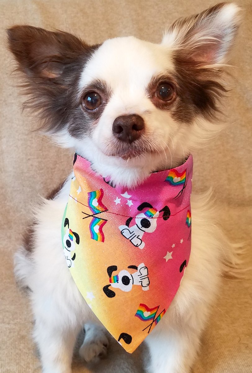 🏳️‍🌈Pride Pupdate!
Mama made dis sparkly Pride Dogs &amp; Flags Bandana to celebrate our fwends who know Wuv is Wuv!
It's pawfect for Valentine's Day to show yoo believe #LoveWins !
Yoo can get it at BooDogBandanas.com !
Please RETWEET🏳️‍🌈♥️🐶
#pride #LGBTQ #dogsoftwitter #DogLover