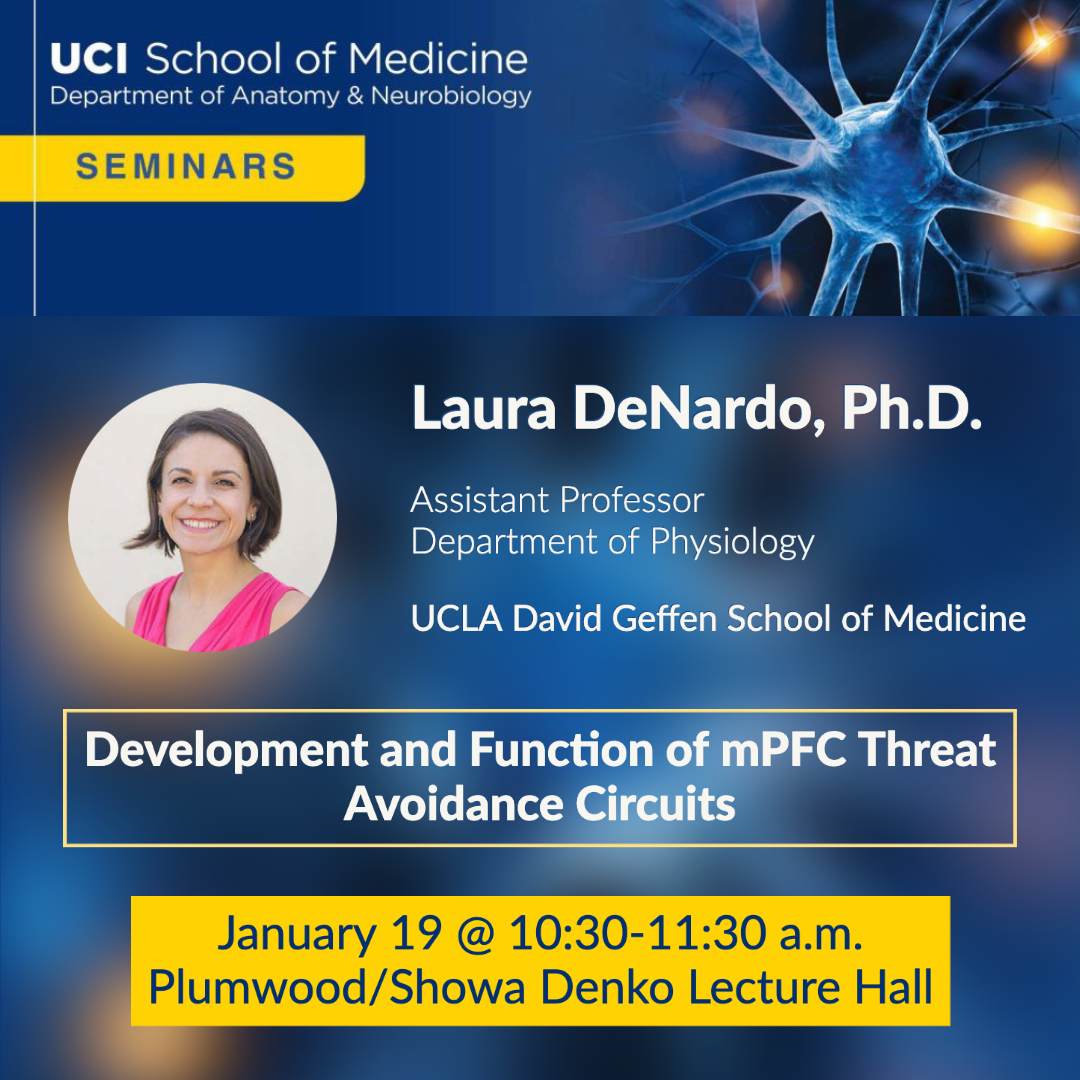 UCI Brain 🧠 tweet media