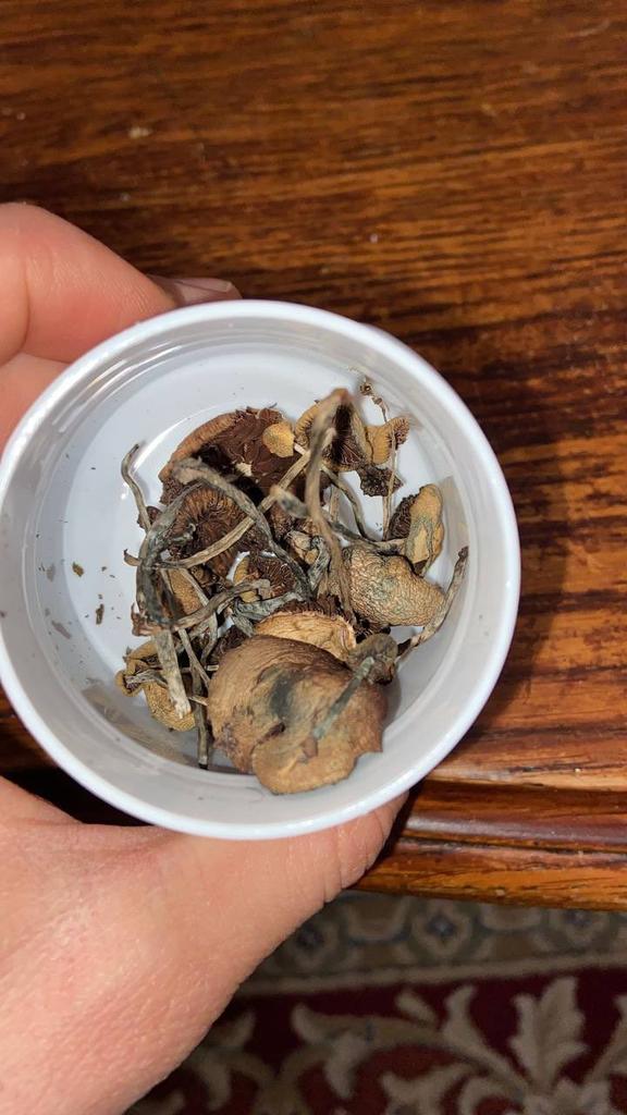 Shrooms for mental health