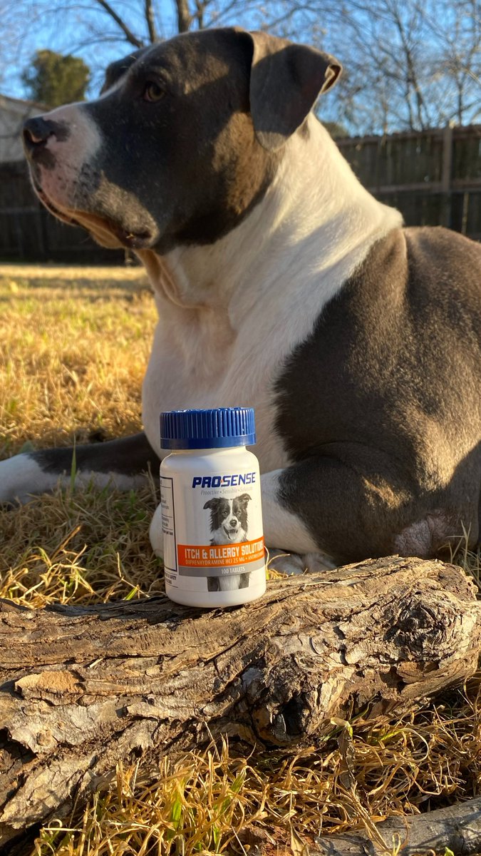 J’onna Choice | UGC Creator tweet media