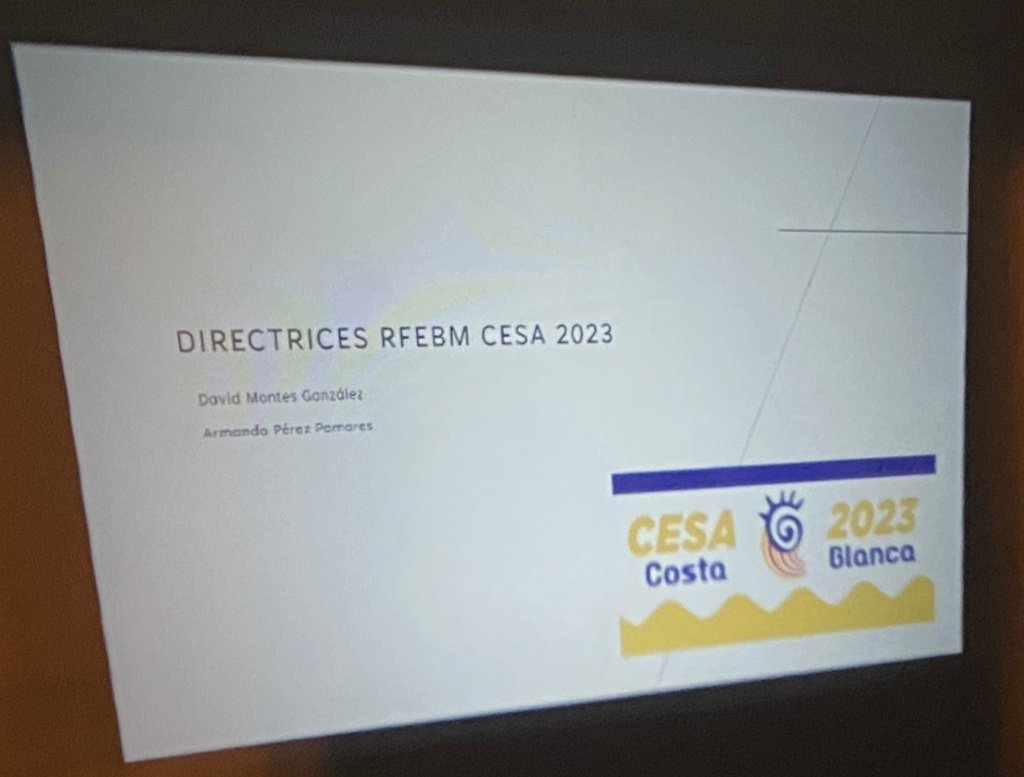 CTArbitralMLG's tweet photo. Volviendo al trabajo formativo!!! Charla impartida por @DeividM94 y Armando Pérez sobre el análisis de las directrices expuestas por el CTA de la @RFEBalonmano en el pasado @cesabm2023 
#estoesunnoparar #arbMLG https://t.co/Dr5Nun9Yb7
