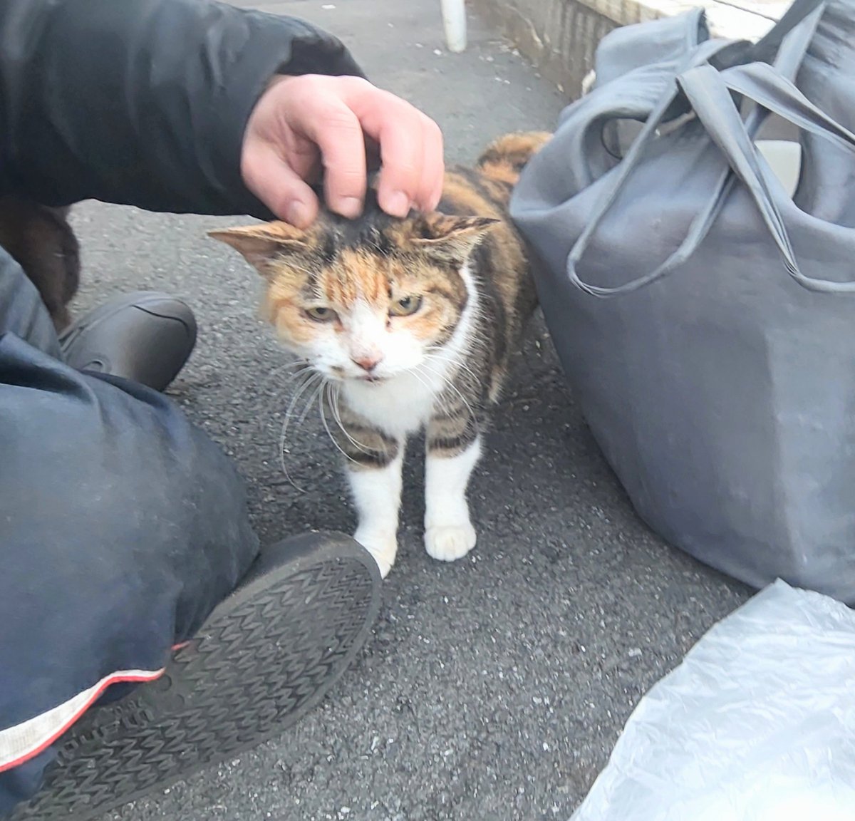 CROWSOFGANGSTA's tweet photo. ええ事言われたら嬉しくなるし、嫌な事言われたら悲しくなる

そんな数秒で変わるもん気にしてられへんねん(ｴﾓｲ https://t.co/lQ4EZ8MR7j