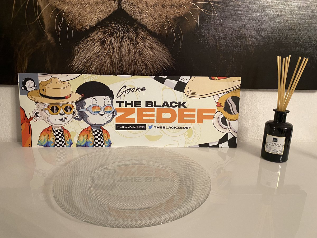 A few days ago i had my brother @alexmdesignco make a personalized banner for me. It turned out so unbelievably good that i wanted it not only digitally but also physically. And here it is my new Design piece for my office. I love it 🤩💎❤️<a href="/retrogoons/">tjay</a> <a href="/phygitals/">phygitals</a> @ImSkred #NFT