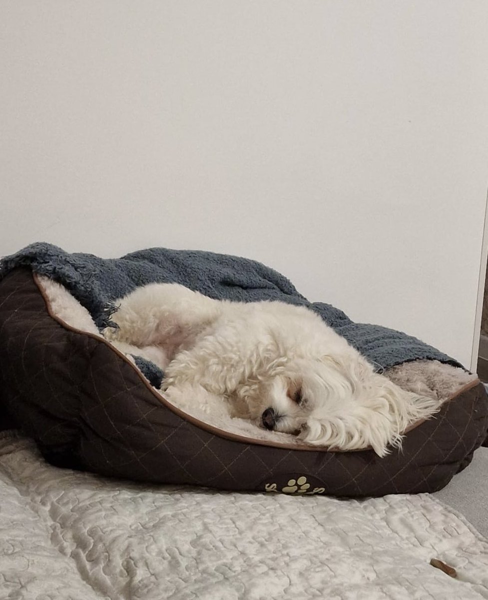 Chill Pill 🔮 (Bald) tweet media