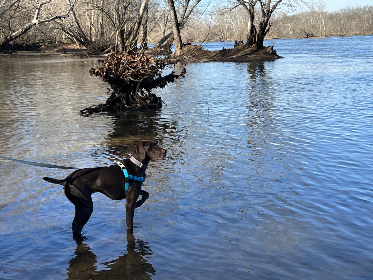 fairfaxparks's tweet photo. Drum roll, please!! The Winners of the First Hike Fairfax Photo Contest are here!!!
Check out the winners on our website: https://t.co/62Ktl8Ymb9
#firsthikefairfax2023 #firsthike #photocontest #fairfaxparks https://t.co/JDlxDcJoMq