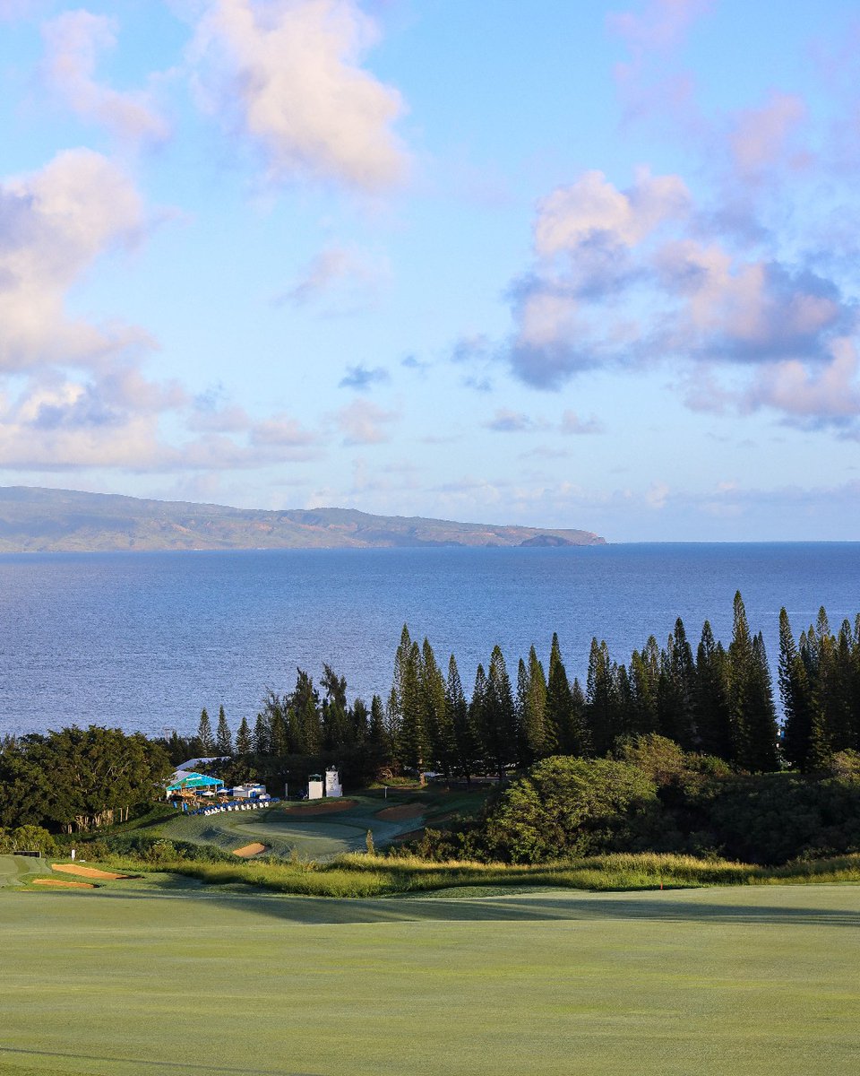 GolfatKapalua's tweet image. Like this post if you thought the 2023 #SentryTOC was the best one yet 😎.
