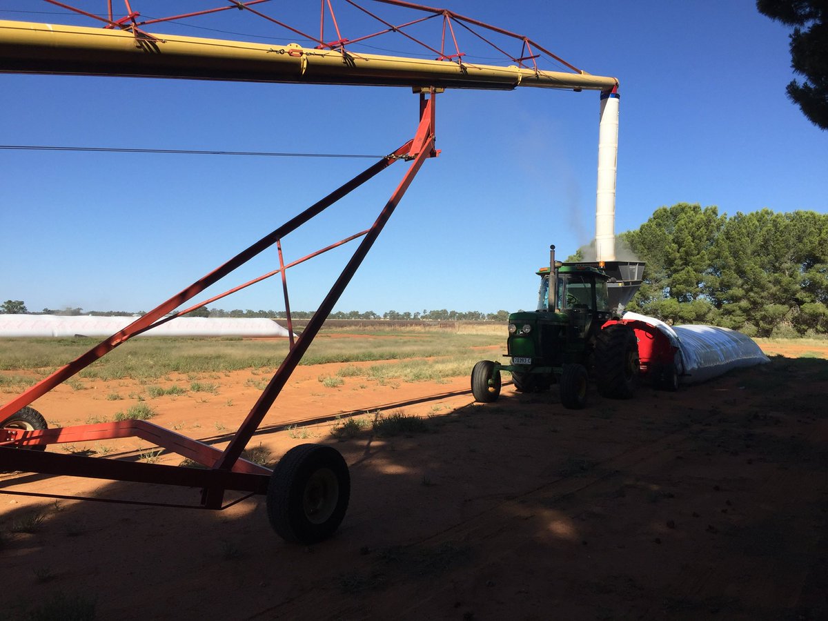 Daniel Fox tweet media